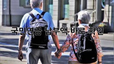 국민연금 납부액 바로 확인!